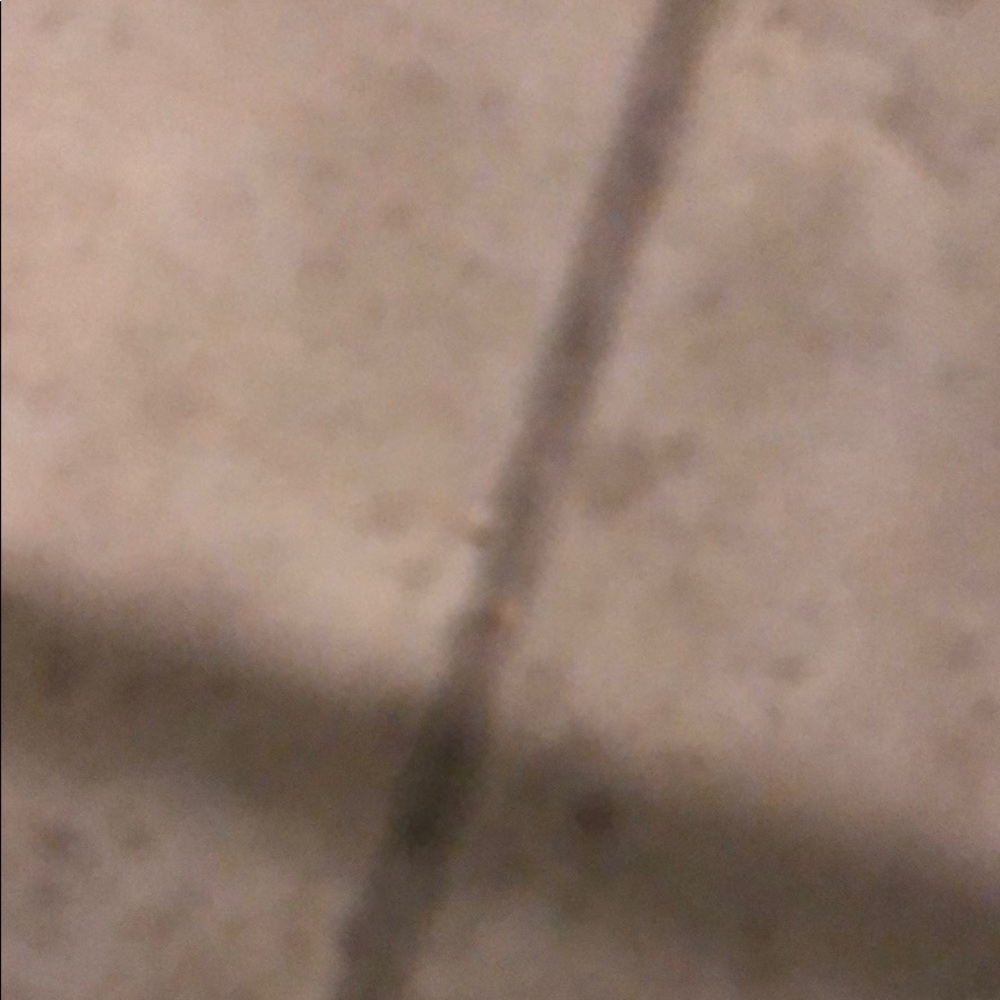 Meet your Posher, Patrick